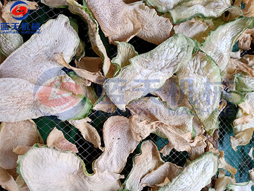 山東膠東蘿卜片烘干機(jī)客戶現(xiàn)場